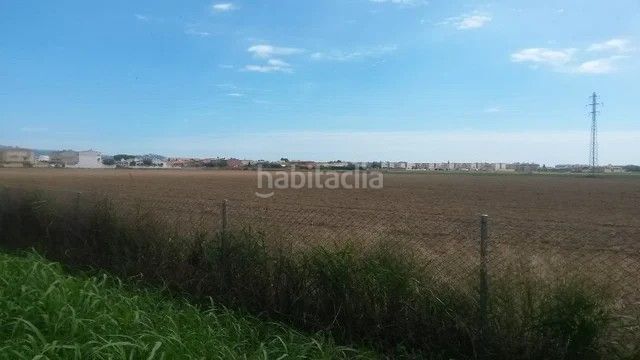 Foto 6de39aef-ba84-4f5e-99af-732f9353e761. Finca rústica en carrer pla de roses 13 suelo urbanizable en venta en sector pla de roses de castello de empuries en Empuriabrava
