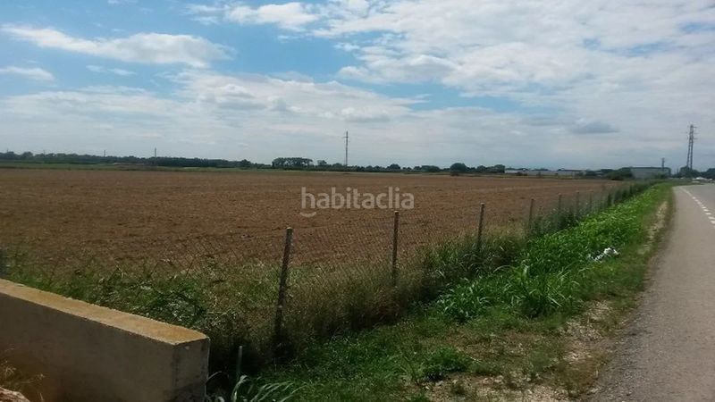 Foto e51eeba1-895d-4a54-a608-bfbad9f70f19. Finca rústica en carrer pla de roses 13 suelo urbanizable en venta en sector pla de roses de castello de empuries en Empuriabrava