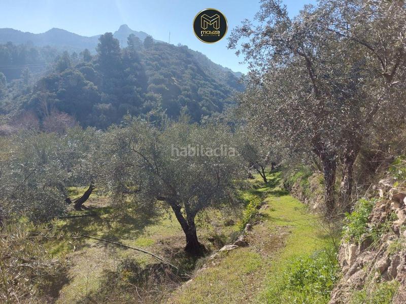 Foto eb5b2c04-461a-43ea-b192-d19b464020c2. Chalet con parcheggio in Jabalcuz Jaén