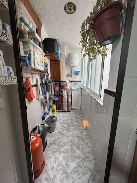 Foto 676aa8a2-89ac-4db8-a155-19df1616cb9f. Pis a Jamilena