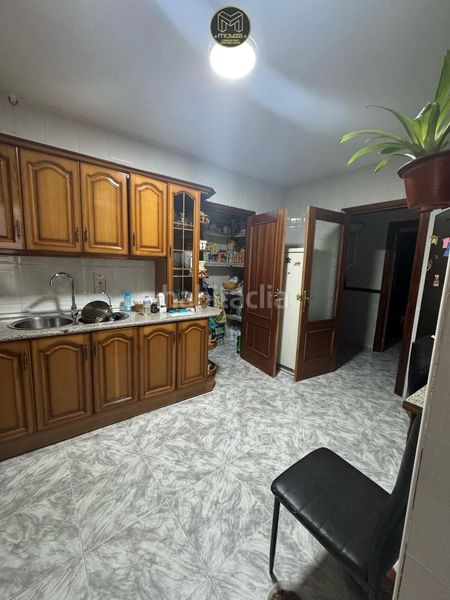 Foto b76f8c37-021c-47b8-b1e1-360da04bf97b. Pis a Jamilena