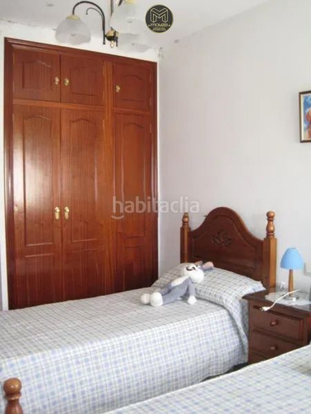 Foto ad2ef204-e510-478a-a039-e5124cd63841. Pis a Baena
