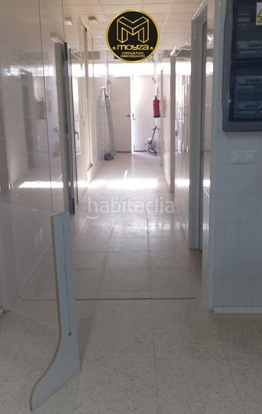 Foto 43c0eb84-4ea6-4ad9-8692-d8e0cb24a65e. Pis a Carolina (La)