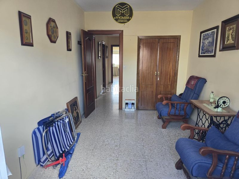 Foto bbcb5ccb-d289-4803-9ef0-af22f4eda777. Pis a Baena