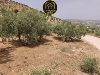 Country house in Guardia de Jaén (La). Finca rúst. en venta en guardia de jaen la.