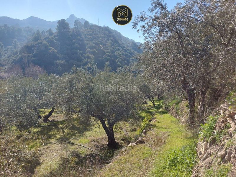 Foto b1819420-5c49-44fd-b4cb-ee6c7c7277a5. Xalet amb aparcament a Jabalcuz Jaén
