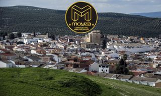 Appartement à Villanueva del Arzobispo. Piso en venta en villanueva del arzobispo, 2 dormitorios.