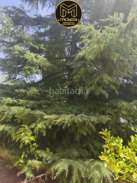 Foto fff601ee-f823-443b-ad0c-7becf745c56a. Chalet  en venta en afueras de jaén puente jontoya, 4 dormitorios. en Guardia de Jaén (La)