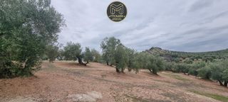Terreny residencial a Torredonjimeno. Parcela en venta en torredonjimeno.