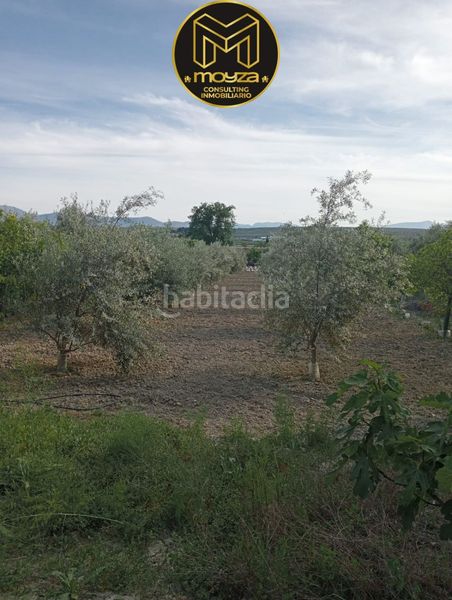 Foto 13cfc274-b7ac-45c4-9f05-baecf11fc2e4. Chalet in Begíjar