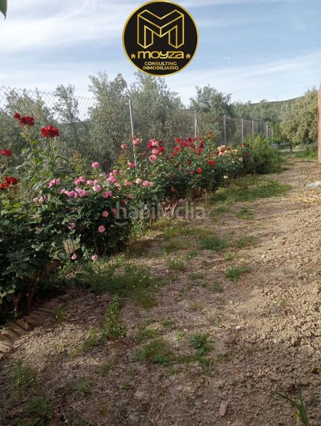 Foto a7ca33de-b54b-4a69-9667-1fcf562fa2b0. Chalet in Begíjar