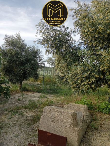 Foto c5c8c2a3-be33-4b13-8d83-f17e13e2a051. Chalet in Begíjar
