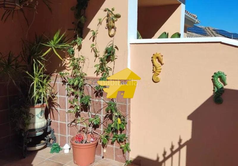 Foto 5b6760d5-3a4b-46b6-a642-861d421c172b. Miete haus in San Alberto - La Alcubilla - Florisol Málaga