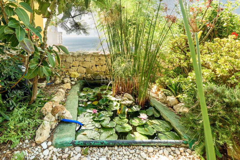 Foto e8b8958b-10b1-4d7d-90c2-620fb570cdd9. Country house with heating parking pool in La Granadella - Costa Nova Xàbia