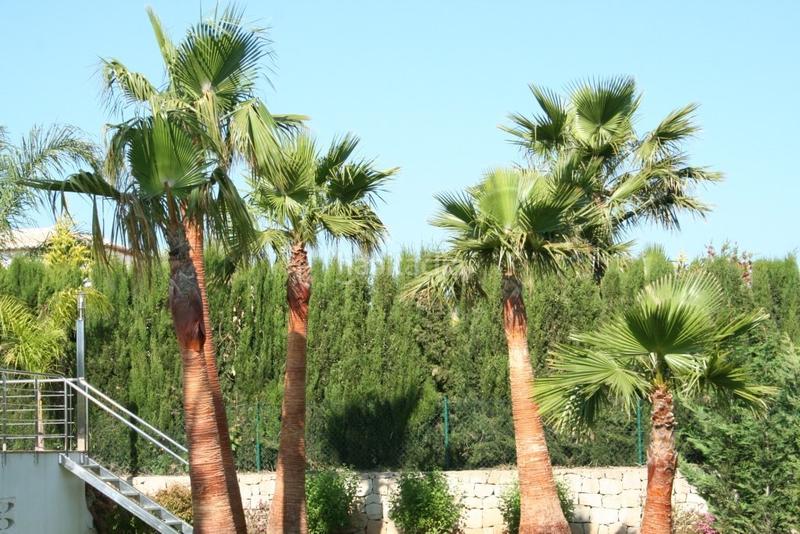 Foto cf4560bc-d77b-467a-ad55-fa7254276465. Country house with heating parking pool in Partida Comunes-Adsubia Xàbia