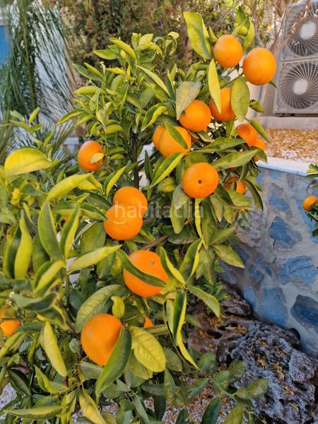 Foto b0037b9a-b8d9-4a9b-8ac3-c4380d4e880a. Bauernhof mit heizung parking pool in Cumbre del Sol Poble Nou de Benitatxell (el)