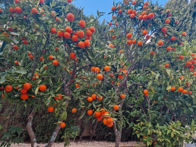 Foto 5cc7e765-be49-4ee9-86e1-653661598627. Casale con riscaldamento parcheggio piscina in Cumbre del Sol Poble Nou de Benitatxell (el)