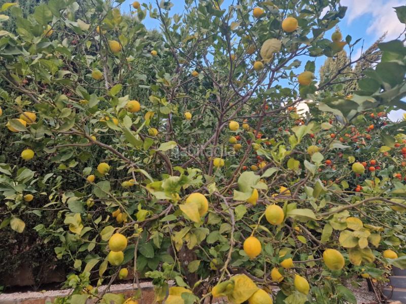 Foto 2b062414-f25c-4047-ac21-e50d82a1832b. Country house with heating parking pool in Cumbre del Sol Poble Nou de Benitatxell (el)