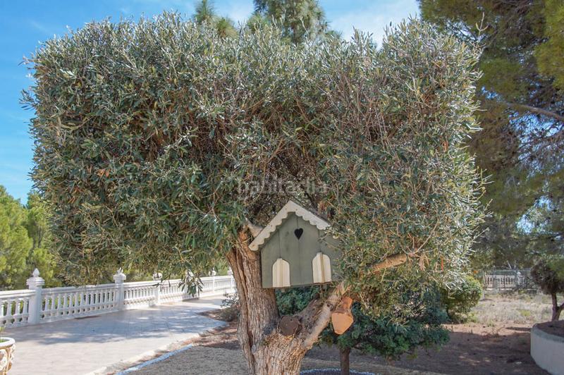 Foto ca938b52-5373-4419-bb34-a844f2187862. Masia amb piscina a La Nucia Pueblo Nucia (la)