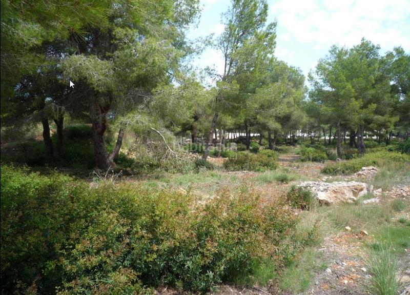 Foto 27408f05-a687-4cd9-a0b5-5ea29989ada7. Terrain résidentiel dans Portichol-Balcón al Mar Xàbia