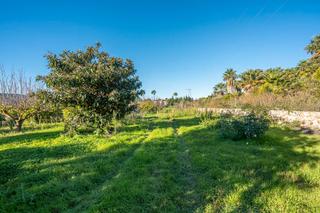 Residential Plot in Partida Tosal - Zona dels Castellans