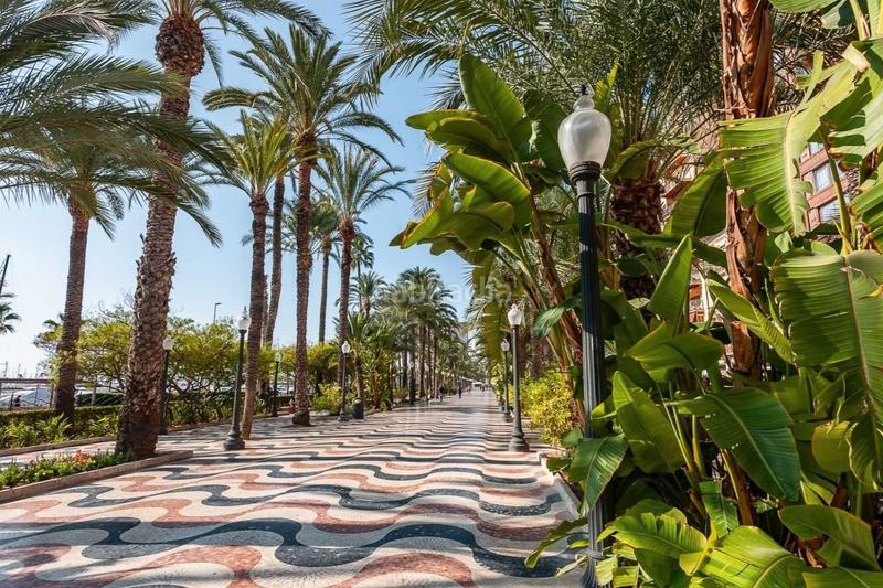 Foto b8ca5054-9749-4f8f-ab0e-5ce6e36429a9. Flat with heating parking pool in Campello Pueblo Campello (el)