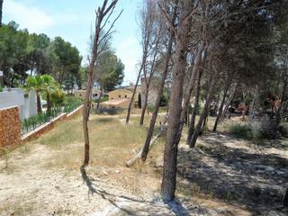 Terreno residenziale in Pinar de Advocat-Cometa