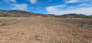 Residential Plot in Romana (la)