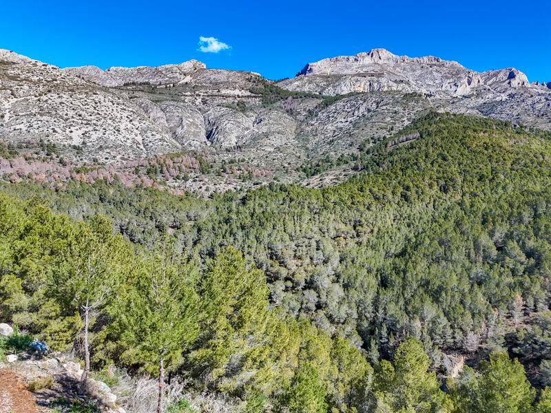 Foto 310ff633-b1a9-442e-8b64-322c3573ea30. Residential plot in Altea la vella Altea