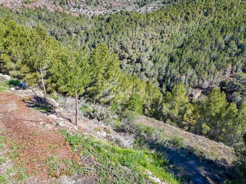 Foto cca4de1b-7ec4-4c7a-ace5-de47a1223ccd. Terreno residenziale in Altea la vella Altea