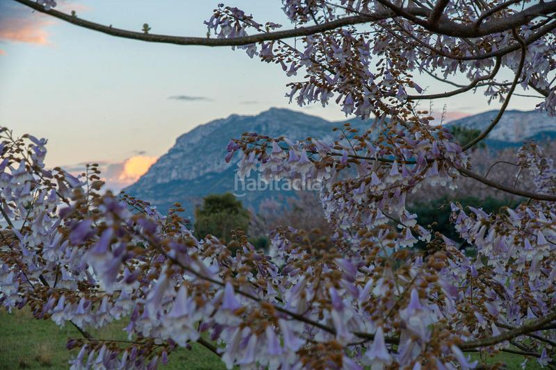 Foto b9eecf70-dca2-4b51-b19c-449c3c1ad459. Pis amb piscina a El Palmar - Los Molinos Dénia