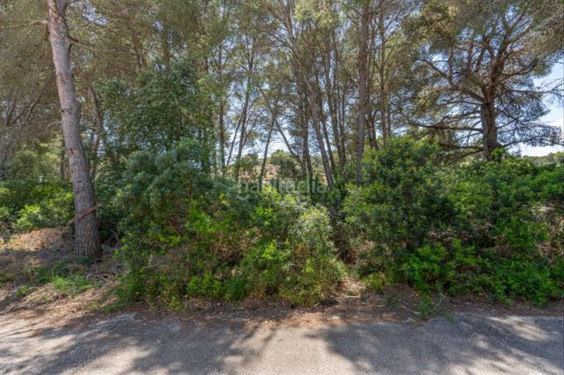 Foto 3320554d-e768-498e-b04d-fec78e45ccc4. Terrain résidentiel dans Cap Martí - El Tossalet - Pinomar Xàbia