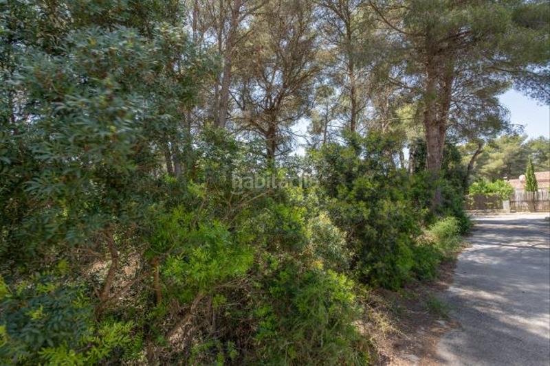 Foto 862ff5e1-b947-4422-a6a1-2b579920f5f7. Terreno residenziale in Cap Martí - El Tossalet - Pinomar Xàbia