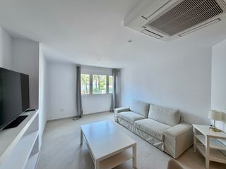 Miete Appartement in Centro Ciudad