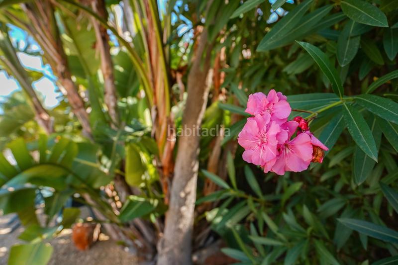 Foto a57a5e8c-ba15-4e42-abc4-62f1dabc745d. Bauernhof mit heizung pool in La Granadella - Costa Nova Xàbia