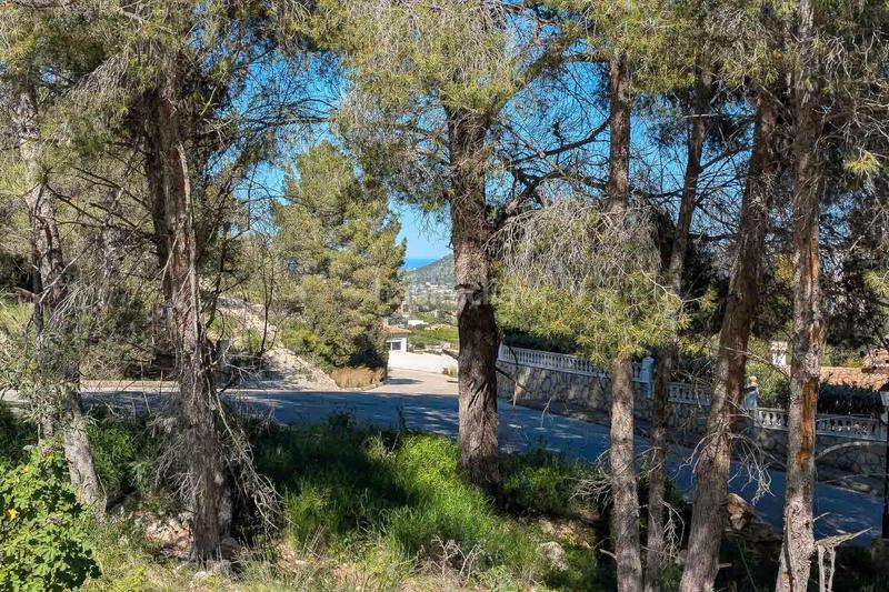 Foto 1570482f-02df-44d1-acc4-0fef74a1b83d. Masía en Pedreguer