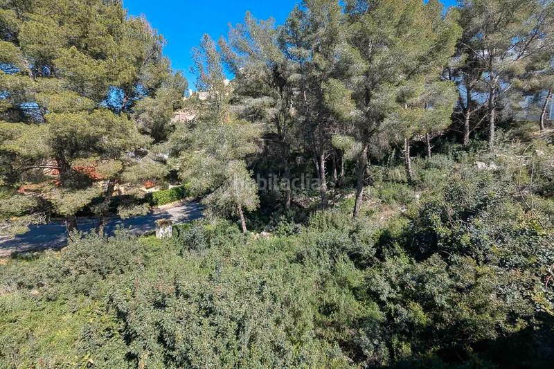 Foto 2663fa47-7cb5-4658-84f8-eb07a1b69c3b. Masía en Pedreguer