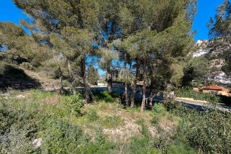 Foto dd5fd9ea-c985-468c-b257-747475579e2d. Masía en Pedreguer