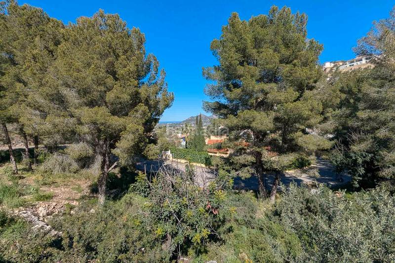 Foto e57b852e-a490-4088-99a6-5853d5013d24. Masía en Pedreguer