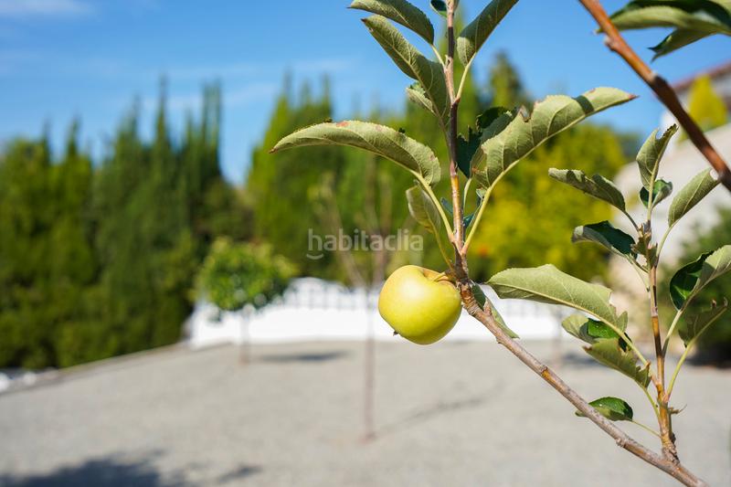 Foto 7bc9845f-4480-4bb8-a5b0-c288172fe1cb. Bauernhof mit heizung parking pool in Benissa pueblo Benissa