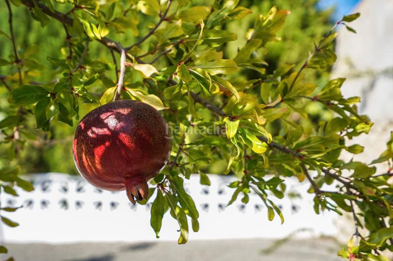 Foto 11524120-b79b-4076-8b9a-9548d20568c6. Casale con riscaldamento parcheggio piscina in Benissa pueblo Benissa