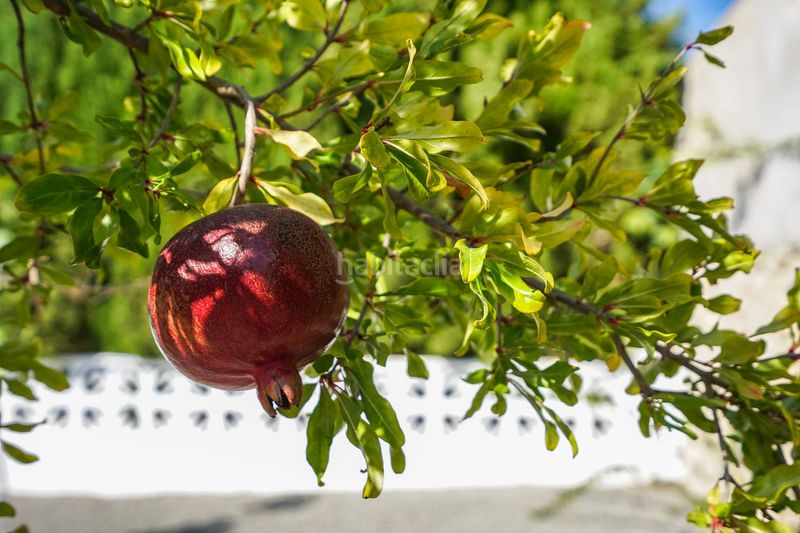 Foto 11524120-b79b-4076-8b9a-9548d20568c6. Xalet amb calefacció aparcament piscina a Benissa pueblo Benissa
