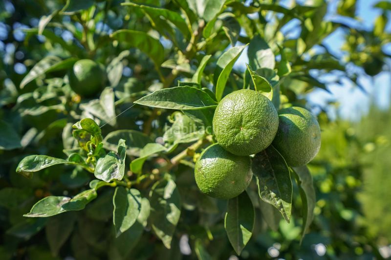 Foto 8ee93675-6dca-444f-86e9-1588101a6fe0. Xalet amb calefacció aparcament piscina a Benissa pueblo Benissa