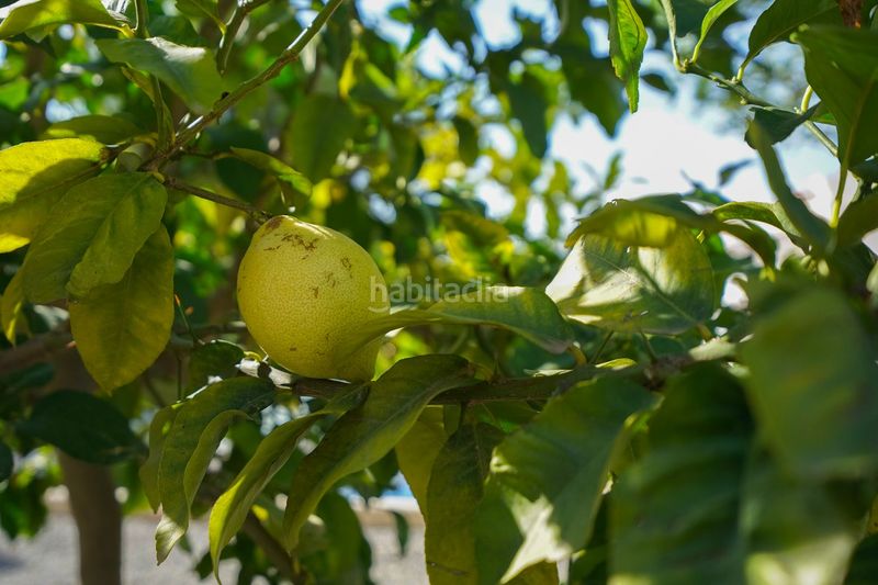 Foto 8fc5d5bd-3d76-46f1-be4f-4f1e53678eff. Xalet amb calefacció aparcament piscina a Benissa pueblo Benissa