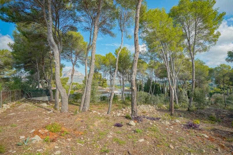 Foto f629d9cb-8350-4584-befa-300e7575e934. Terreno residenziale in Partida Comunes-Adsubia Xàbia