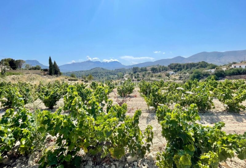 Foto b8f3be21-f894-4872-b60c-a6bd088c18af. Chalet en Benissa pueblo Benissa