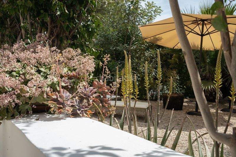 Foto a5ba4d41-db6b-443c-9f11-39f06251a476. Chalet en Montgó - Ermita Xàbia