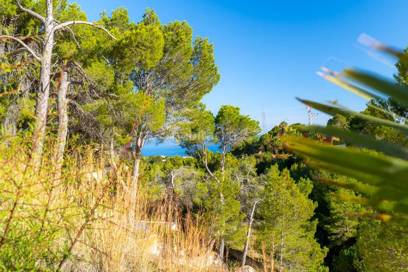 Foto e91c6e0e-b86c-4f3f-a9d4-da0f42c55106. Terreny residencial a Altea ciudad Altea