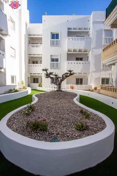 Foto 9076272c-d48a-4a66-914b-c3ed53855d47. Pis a carretera de málaga 24 a Castell de Ferro