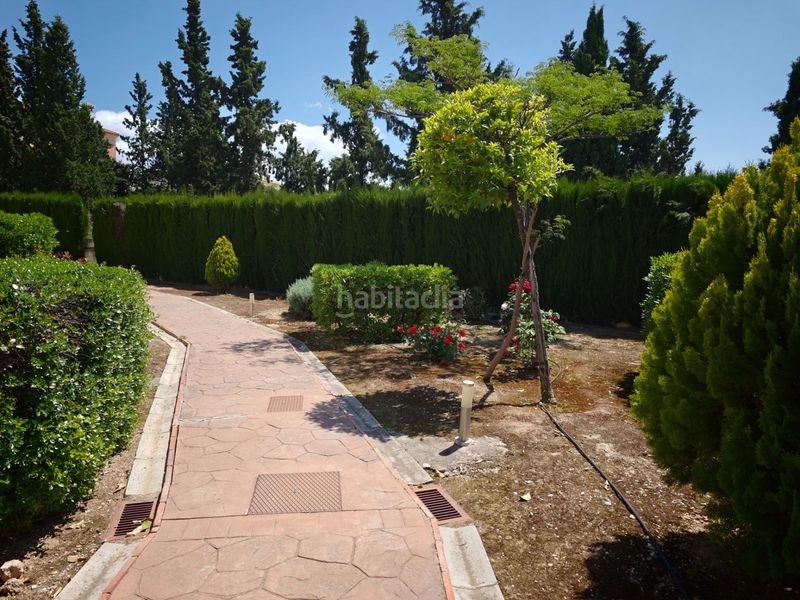 Foto 17dda8d2-c7ca-4a40-9913-d6a46c88004b. Pis amb aparcament piscina a Albolote